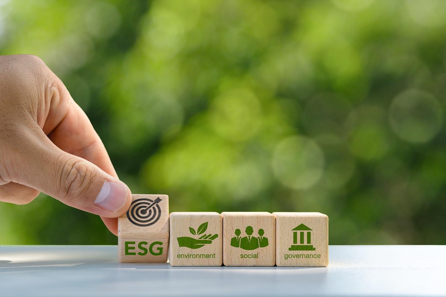 ESG Framework